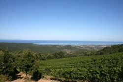 Piastraia mit Blick über das tyrrhenische Meer