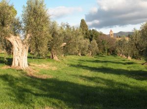 Blick von La Staletta nach Bolgheri