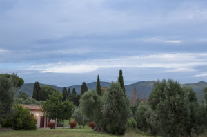 Abendstimmung - La Staletta