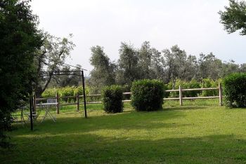 Wohnen mitten im Weinberg