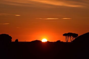 Sonnenuntergang mit Blick zum Meer